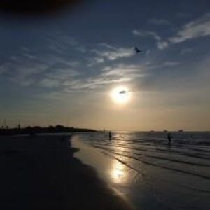 Meet your Posher, Bobby